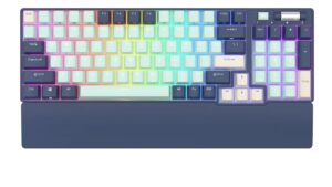 RK ROYAL KLUDGE RK96 Mechanical Keyboard